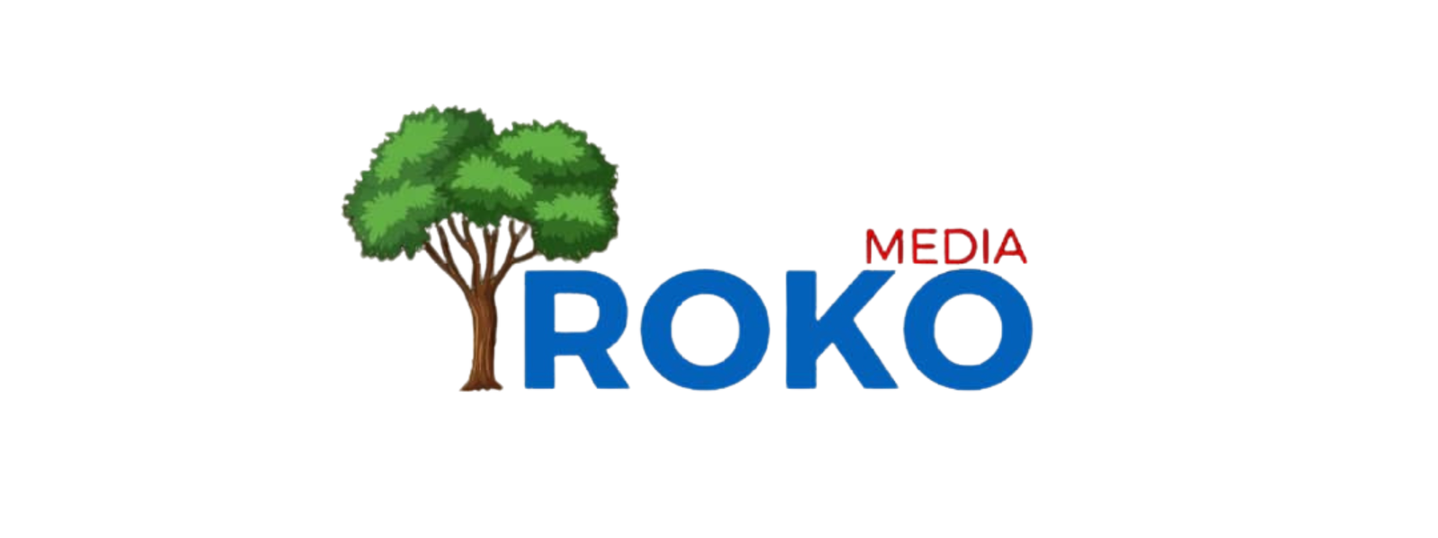 IROKO MEDIA