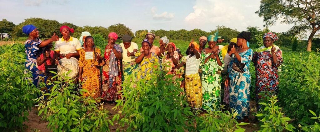 Femmes-agricultrices-1024x424 Commune de Djida: Les femmes agricultrices outillées pour mieux conserver leurs récoltes