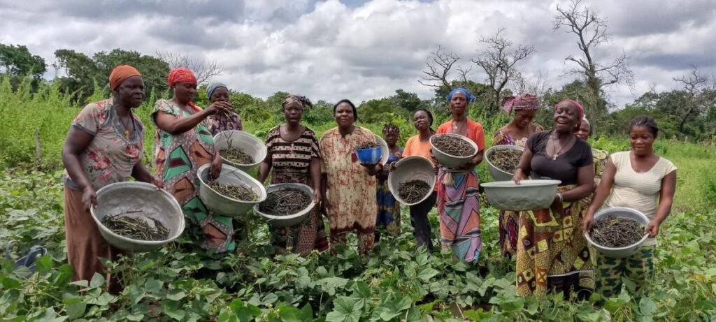 Les-femmes-agricultrice-du-Benin-1024x461 Commune de Djida: Les femmes agricultrices outillées pour mieux conserver leurs récoltes